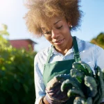 female gardener inspecting fresh herbs