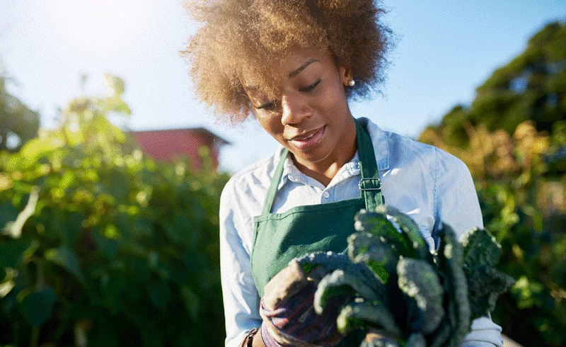 female gardener inspecting fresh herbs