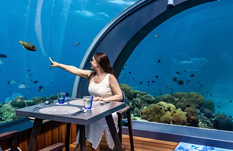 futuristic under water restaurant