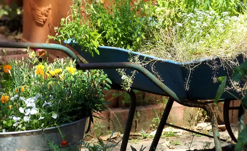 upcycled wheelbarrow