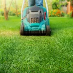 Lawn Care Guide