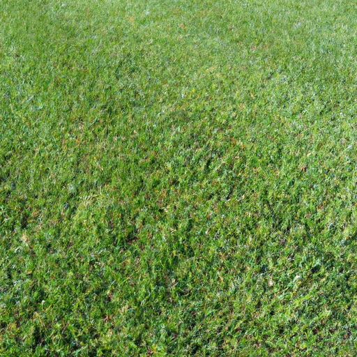 Why Creeping Bentgrass is a Great Choice For Northeastern and Northwestern US Homes
