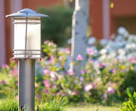 Light Up the Night: The Transformative Power of Landscape Lighting