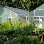 The Rise of Urban and Indoor Farming - A New Era in Agriculture