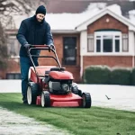 Winter Lawn Care: Expert Tips for a Healthy and Vibrant Garden